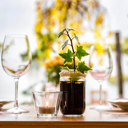 Eco-Hotel Doña Mayor Hotel