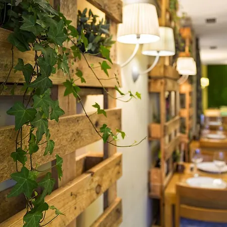 Eco-hotel Dona Mayor ホテル Frómista