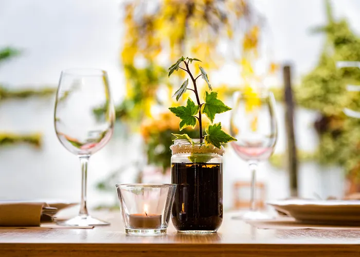 Eco-hotel Dona Mayor Szálloda